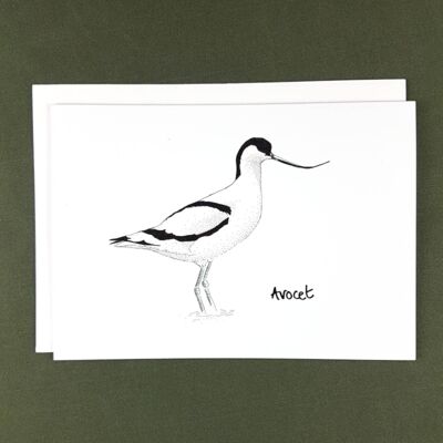 Avocet Drawing Grußkarte – Recyclingpapier + Spende für wohltätige Zwecke