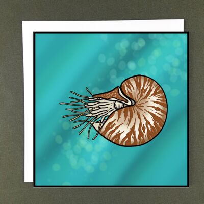 Nautilus Greeting Card - Recycled Paper + Charity Donation