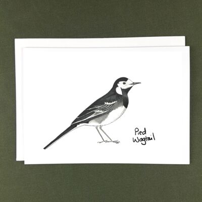 Pied Wagtail Greeting Card - Recycled Paper + Charity Donation