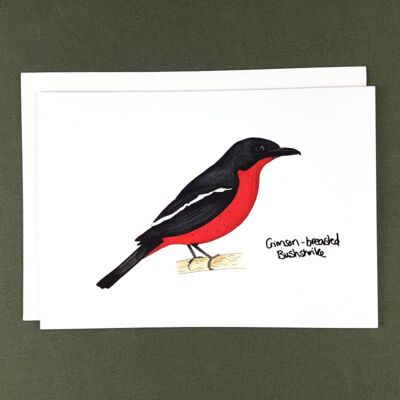 Tarjeta de felicitación Bushshrike de pecho carmesí - Papel reciclado + Donación de caridad