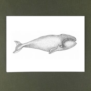 Carte de voeux baleine noire - papier recyclé + don de charité 2