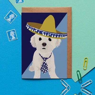 Alfie fluffy bichon frise with tie greeting card