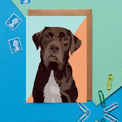 brownie the brown labrador greeting card