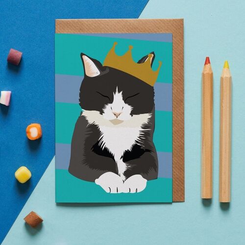 Bruce the black and white birthday cat greeting card