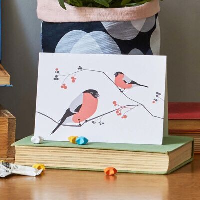 Bullfinch bird illustrations greeting card