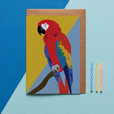 Coco the Macaw parrot greeting card