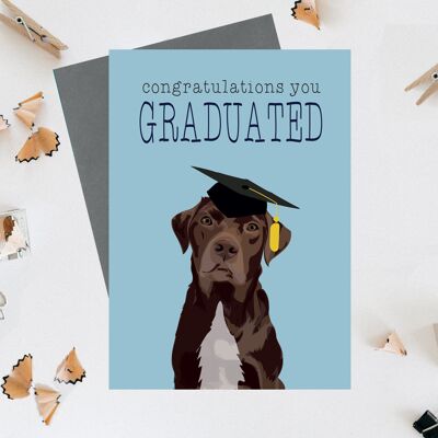 Congratulations you graduated greeting card