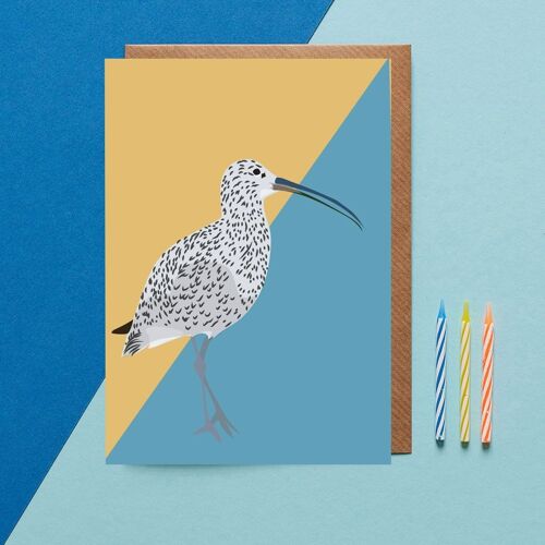 Curlew Bird Greeting Card