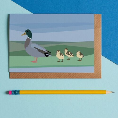 Duck Family Bird Greeting Card