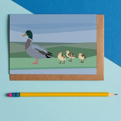 Duck Family Bird Greeting Card