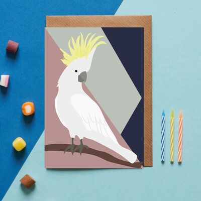 Elivis the Parrot Bird Greeting Card