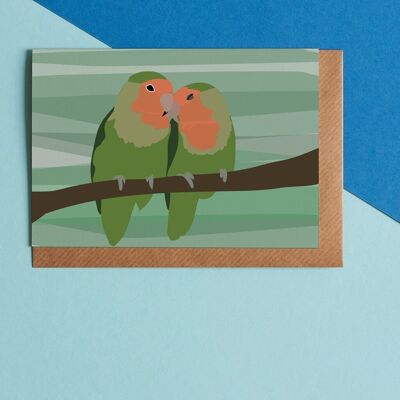Oiseaux d'amour, valentines, carte de voeux d'amitié