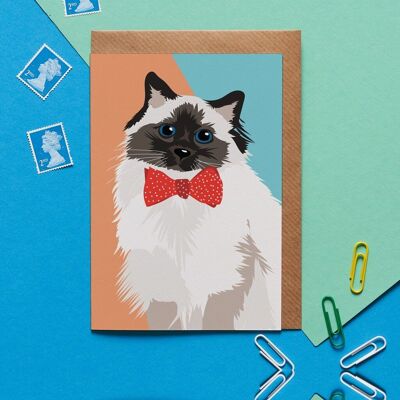 Meg the Cat fluffy cat greeting card