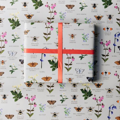 Oxfordshire Wildlife Wrapping Paper