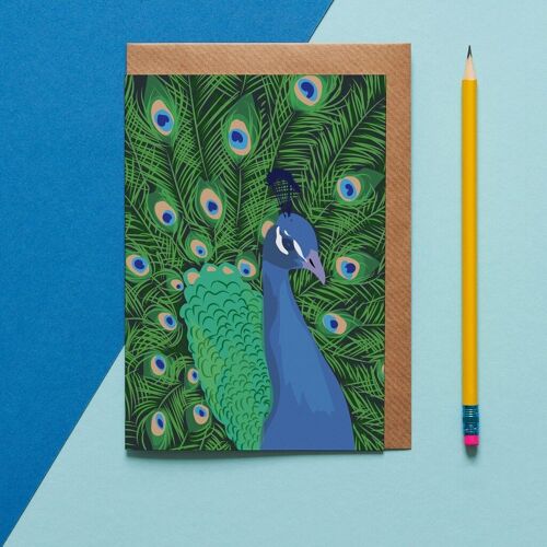 Preston the Peacock bird greeting card