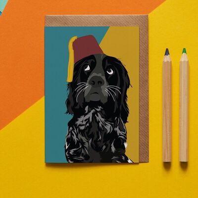 Rolf the Spaniel dog greeting card