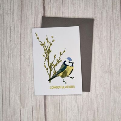 RSPB charity Congratulations Card Blue Tit