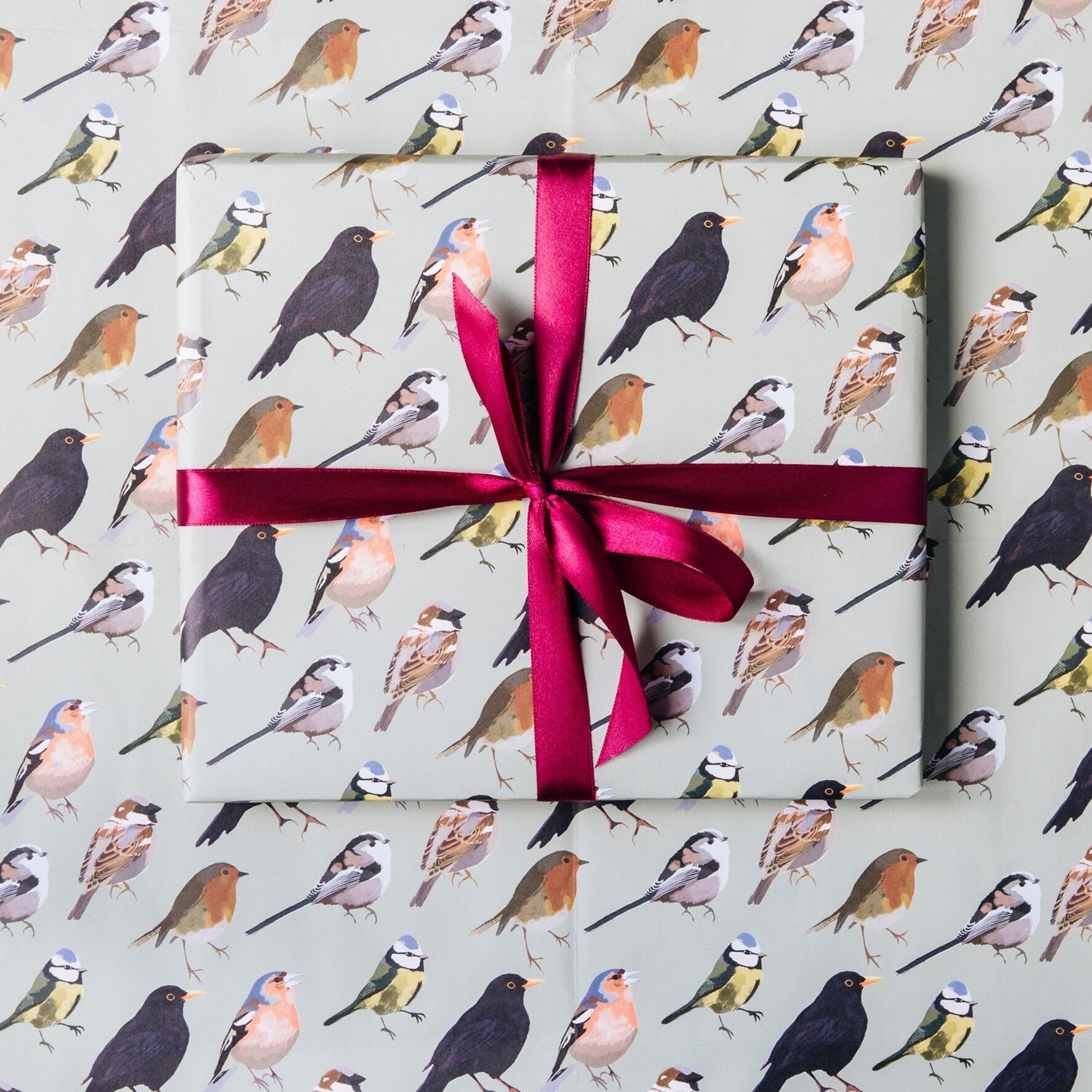 Confezione regalo di beneficenza RSPB Dawn Chorus