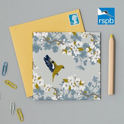 Cartolina d'auguri di beneficenza RSPB Verdone