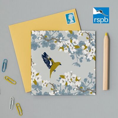 Tarjeta de felicitación de caridad RSPB Greenfinch