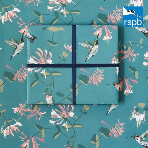 RSPB charity wrapping paper Hummingbird Teal Gift Wrap