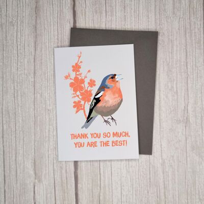 RSPB Thank You Chaffinch charity greeting card
