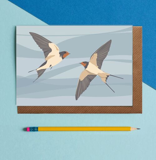 Swallow bird greeting Card illustration