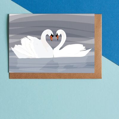Swans, bird greeting card