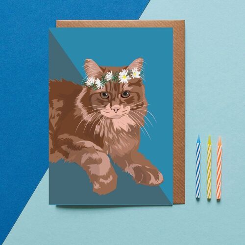 Whiskey The Maine Coon Cat Greeting Card