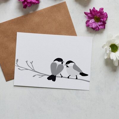 Willow Tit bird greeting card