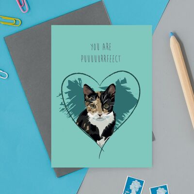 you are puuuuuurrrrrfect valentines greeting card