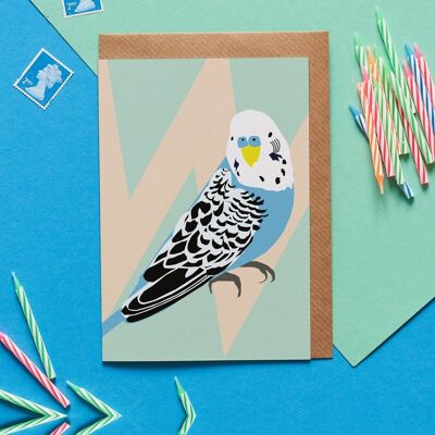 Ben the Budgie Greeting Card