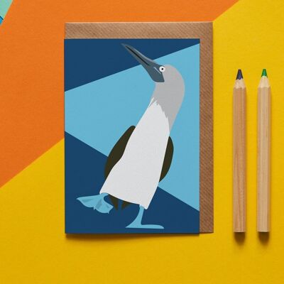 Betty the Blue Footed Boobie bird greeting card