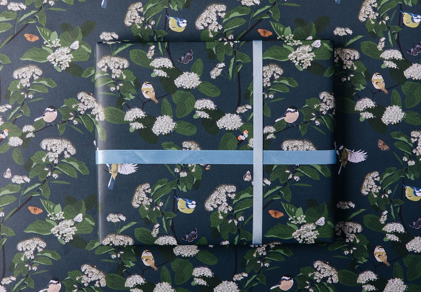 Carta da regalo per uccelli cinciarella