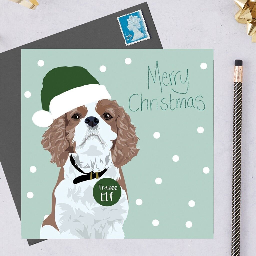 Cartolina di Natale di beneficenza – Cavalier king Charles spaniel