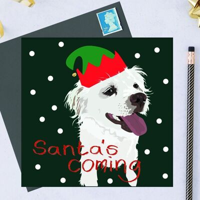 Tarjeta de Navidad benéfica - Marlo el perro de rescate