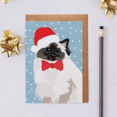 Weihnachtskarte Perserkatze in Weihnachtsmütze