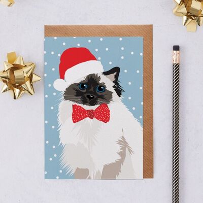 Biglietto natalizio Gatto persiano con cappello da Babbo Natale