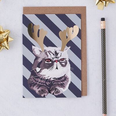 Christmas Card Persian cat with gold foiled antlers