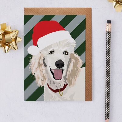 Christmas Card Poodle called Harley