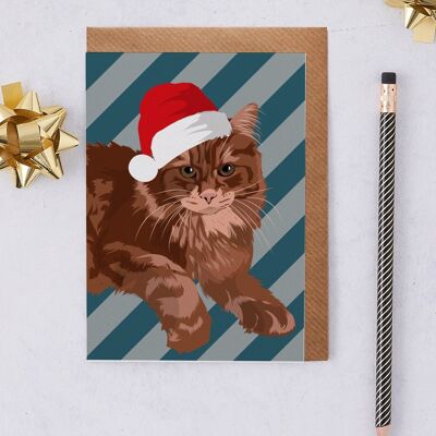 Main Coon Cat Christmas Card