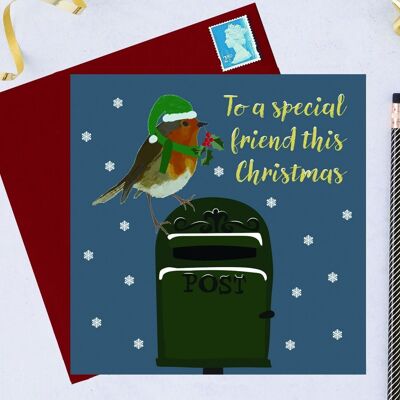 RSPB Charity Weihnachtskarte Robin