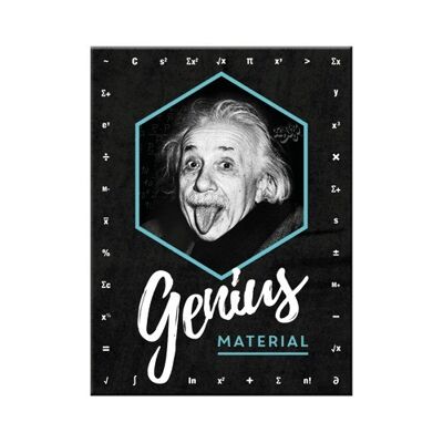Magnet -Einstein - Genius Material