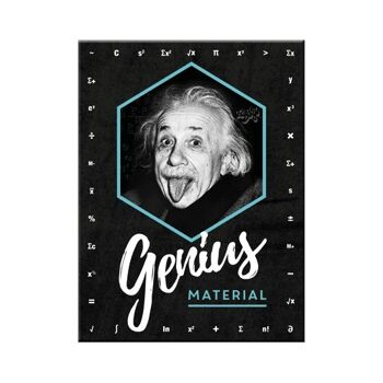 Aimant -Einstein - Genius Material