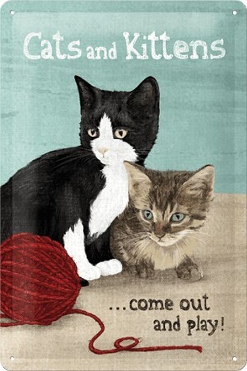Placa de metal - Cats and Kittens