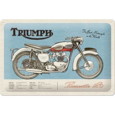 Piatto in metallo 20x30 cm. Triumph-Bonneville