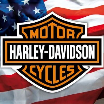 Metallplatte 30x40 cm. Harley-Davidson USA-Logo