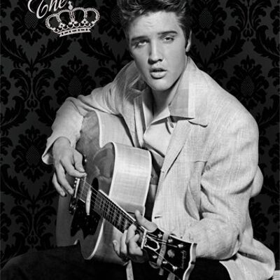 Placa de metal 30x40 cms. Elvis - The King