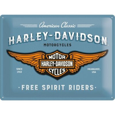 Piatto in metallo 30x40 cm. Harley-Davidson - Logo blu