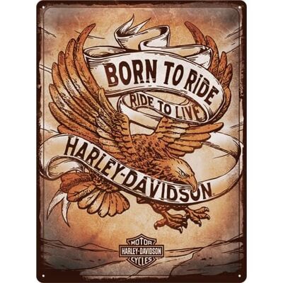 Placa de metal 30x40 cms. Harley Davidson - Borno to ride eagle